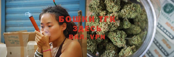 бошки Осинники