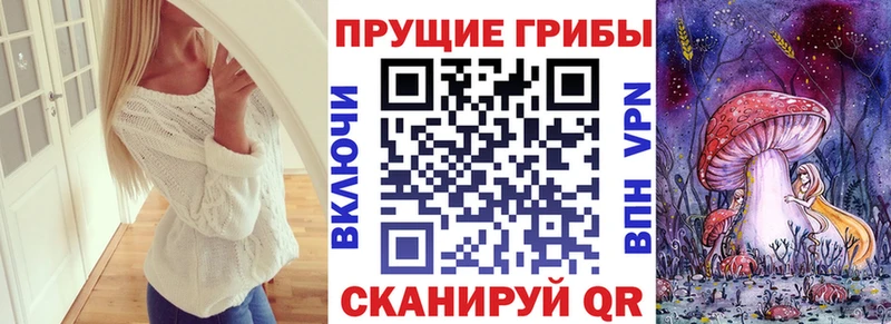 где найти   Светлый  Псилоцибиновые грибы Psilocybine cubensis 